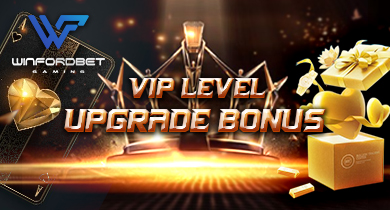 VIP Level Up Bonus | Winfordbet Online Casino | Winford Bet