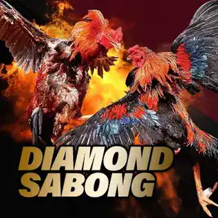 Diamond Sabong | Real Money Earning Games Philippines | Winford bet